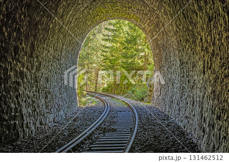 Inside stone railway tunnel looking to forest in Thuringia Germany Inside stone railway tunnel looking to forest in Thuringia Germany 131462512
