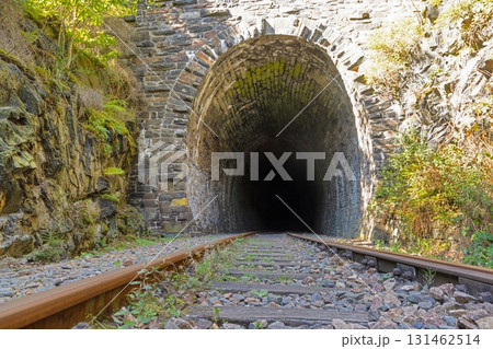 Stone railway tunnel entrance in Thuringia Germany Stone railway tunnel entrance in Thuringia Germany 131462514
