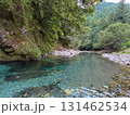 夏の森と透明度抜群の神崎川の清流 131462534