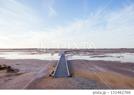 Lake Tyrrell in Victoria Australia 131462766