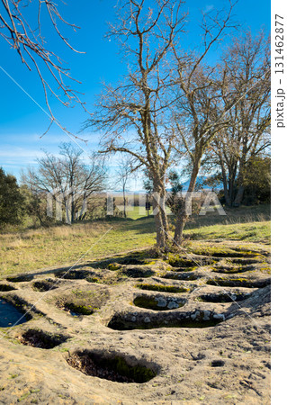 Ground-level view of the San Andres necropolis in Villarcayo, Burgos, Spain. The image shows Ground-level view of the San Andres necropolis in Villarcayo, Burgos, Spain. The image shows 131462877