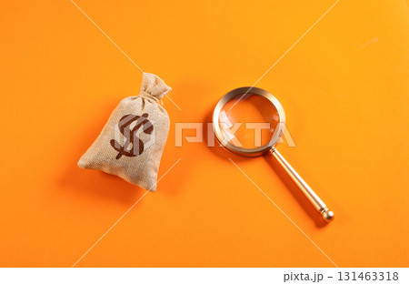 Financial investigations. Investment search. Concept for auditing, economic security, fraud prevention, corporate transparency, risk analysis and strategic business decisions. Financial investigations. Investment search. Concept for auditing, economic security, fraud prevention, corporate transparency, risk analysis and strategic business decisions. 131463318