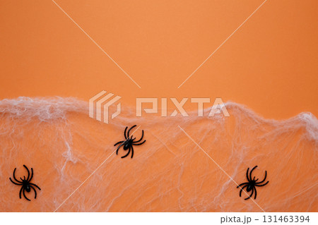 Spiderwebs and spiders on orange background Halloween decoration Spiderwebs and spiders on orange background Halloween decoration 131463394