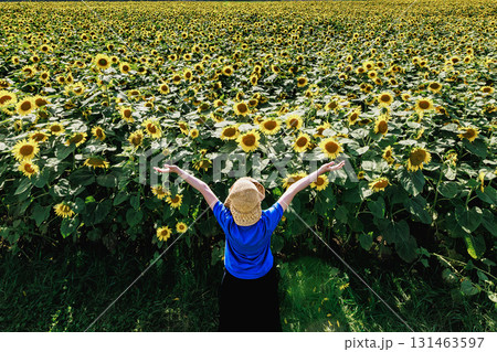 真夏の太陽と満開のひまわり畑を見上げる女性 131463597