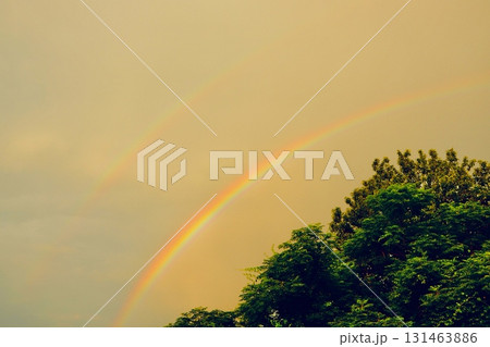 夏の夕暮れのダブルレインボー 夏の夕暮れのダブルレインボー 131463886
