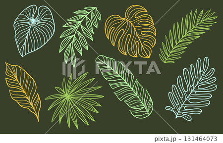 Set of linear palm leaves. Decorative image of tropical foliage and plants. Set of linear palm leaves. Decorative image of tropical foliage and plants. 131464073