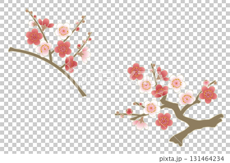 Red and white plum blossom branch set | Plum blossom, plum, branch, spring, New Year, Japanese pattern, frame Red and white plum blossom branch set | Plum blossom, plum, branch, spring, New Year, Japanese pattern, frame 131464234