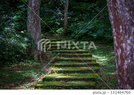 台湾 階段状 緑色 131464760