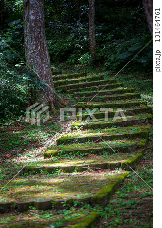 台湾 階段状 緑色 131464761