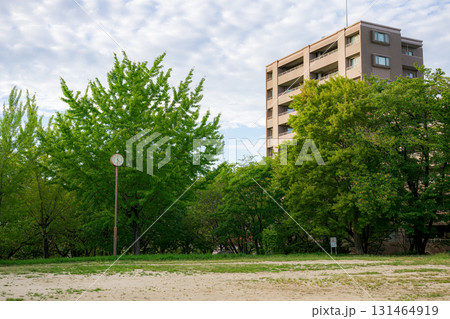 時計台のある公園と高層住宅の風景 時計台のある公園と高層住宅の風景 131464919