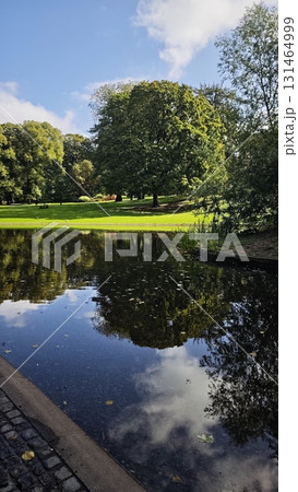 Sunny park landscape with large trees and their reflection in a still pond under a blue sky. 131464999