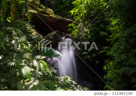 台湾 滝 瀧 131465100