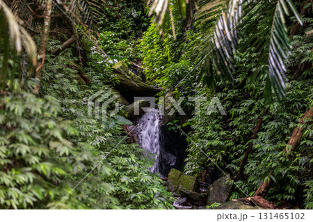 台湾 滝 瀧 131465102