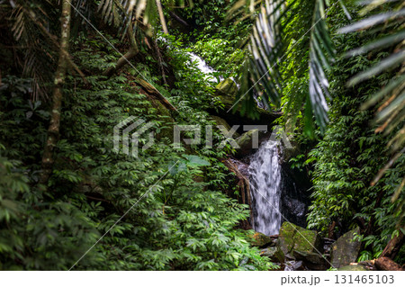 台湾 滝 瀧 131465103