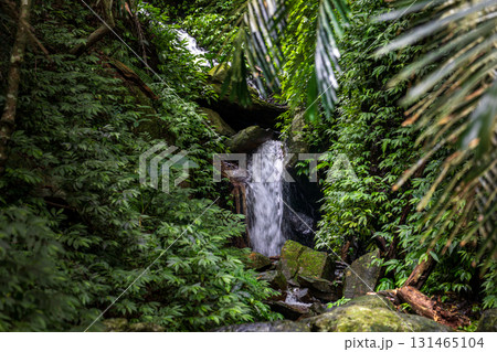 台湾 滝 瀧 131465104