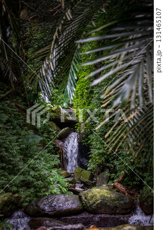 台湾 滝 瀧 131465107