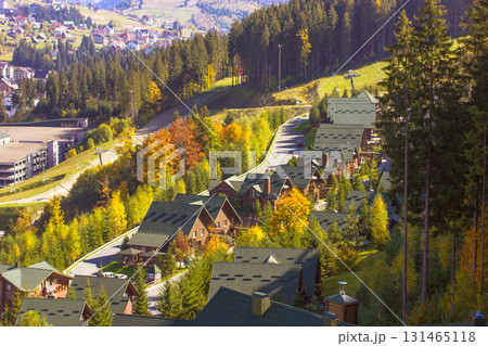 Scenic aerial view showcases wooden houses nestled amidst lush greenery. Aerial view of wooden cottages with green roofs nestled among lush trees 131465118