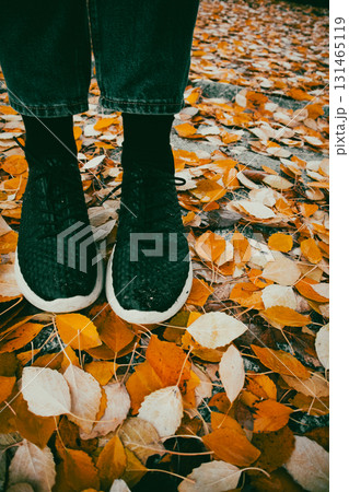 Black sneakers on autumn leaves, a perfect fall scene with colorful foliage. A person's feet in black sneakers stand on fallen autumn leaves. Jeans and socks are also visible. 131465119