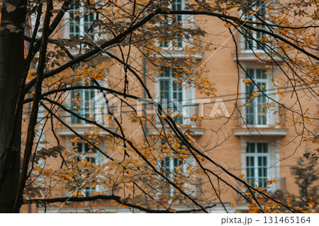 Building Facade is viewed behind autumnal trees with golden foliage Autumn leaves tree branches create a natural frame for a residential house in fall 131465164