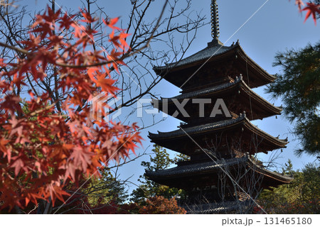 世界遺産 仁和寺 秋の五重塔(京都市右京区) 世界遺産 仁和寺 秋の五重塔(京都市右京区) 131465180