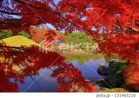 大仙日本庭園 (大阪府堺市)の紅葉 大仙日本庭園 (大阪府堺市)の紅葉 131465210
