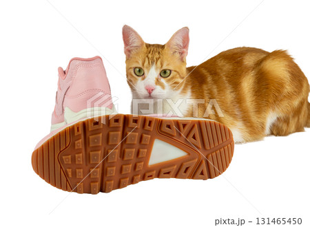 A pair of fashionable pink leather sneakers, isolated on a white background with one sneaker showing its sole with a lovely tabby orange-white cat with a pink nose posing. 131465450
