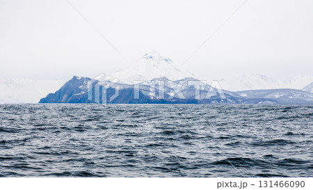 panoramic view of coast of Pacific ocean in Avacha 131466090
