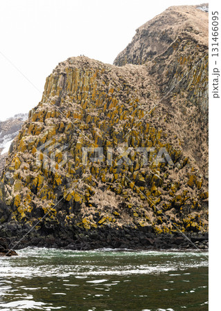 cape of Starichkov island in Avacha bay cape of Starichkov island in Avacha bay 131466095