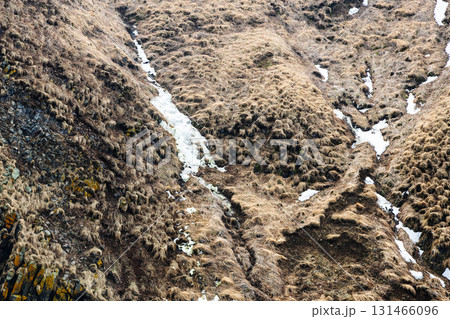 surface of Starichkov island in ocean in spring 131466096