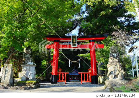 国重要文化財 郡山八幡神社(焼酎神社) 国重要文化財 郡山八幡神社(焼酎神社) 131466234