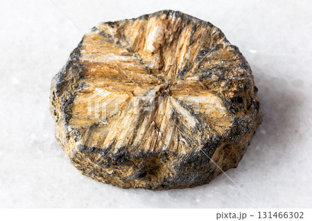 sample of raw chiastolite mineral on white marble 131466302