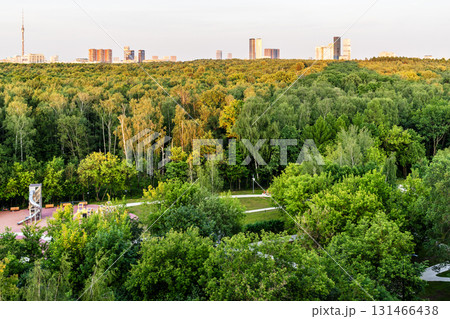 above view of green city park lit by setting sun above view of green city park lit by setting sun 131466438