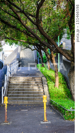 木陰に包まれた階段と歩道の風景(都市の日常と緑の調和) 木陰に包まれた階段と歩道の風景(都市の日常と緑の調和) 131466598