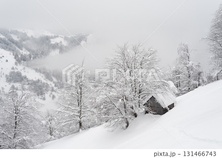 Snowy Winter Landscape With Old Wooden Cabin In Foggy Mountain Village Snowy Winter Landscape With Old Wooden Cabin In Foggy Mountain Village 131466743