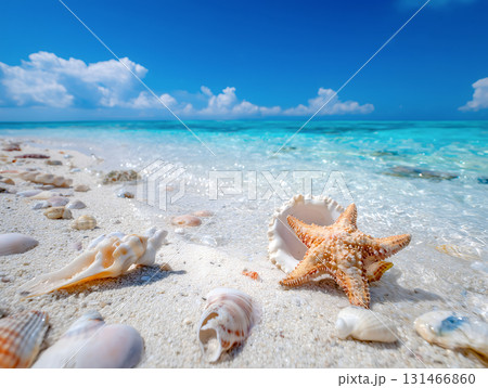 白い砂浜と貝殻ヒトデが輝く南国ビーチの夏風景透き通った青い海と青空のクローズアップ 131466860