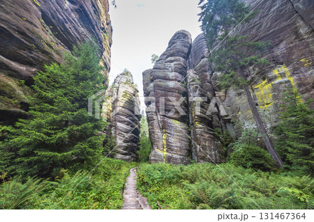 Adrspach-Teplice Rocks, sandstone formations in Hradec Kralove Region in the Czech Republic, Europe. Stone stairway leads through towering rock formations, lush foliage, and towering evergreen trees. Adrspach-Teplice Rocks, sandstone formations in Hradec Kralove Region in the Czech Republic, Europe. Stone stairway leads through towering rock formations, lush foliage, and towering evergreen trees. 131467364
