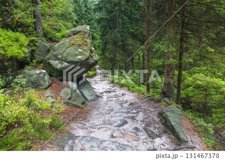 Landscape of Adrspach-Teplice Rocks area, in Hradec Kralove Region in the Czech Republic, Europe. Forest path with mossy rocks and lush greenery, providing an adventurous hiking trail experience. Landscape of Adrspach-Teplice Rocks area, in Hradec Kralove Region in the Czech Republic, Europe. Forest path with mossy rocks and lush greenery, providing an adventurous hiking trail experience. 131467378