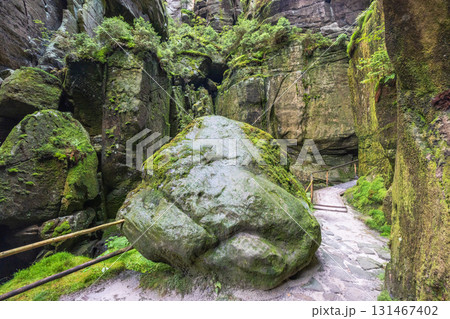 Adrspach-Teplice Rocks, sandstone formations in Hradec Kralove Region in Czech Republic, Europe. Moss-covered rock dominates a stone path winding through narrow rocky cliffs in a lush natural setting. 131467402
