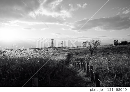 草原 草原 131468040