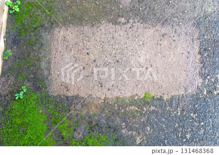 A green moss on walls, floors, stones. A green moss on walls, floors, stones. 131468368