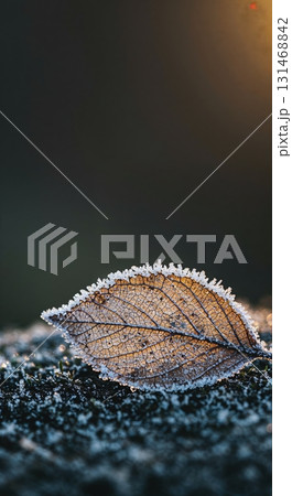 A single delicate leaf, its intricate veins visible through a translucent surface, is heavily frosted and illuminated by a warm golden backlight on a cold winter day. 131468842