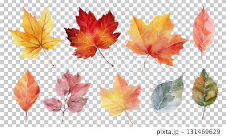 Watercolor illustration set of vibrant autumn leaves showcasing rich colors and intricate details with copy space. Isolated on transparent background. PNG, cutout 131469629