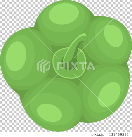 Illustration of a single green bell pepper from a top down perspective in a flat vector art style. 131469855