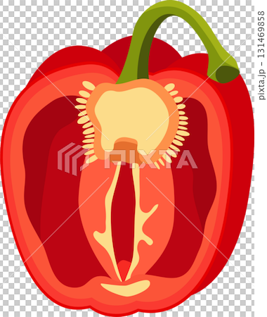A colorful red pepper is cut down the center, revealing its inner flesh and seeds. Healthy food. 131469858