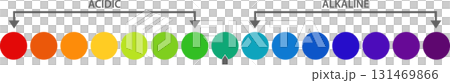 Illustration showing a colorful spectrum of values ranging from acidic to alkaline substances. 131469866