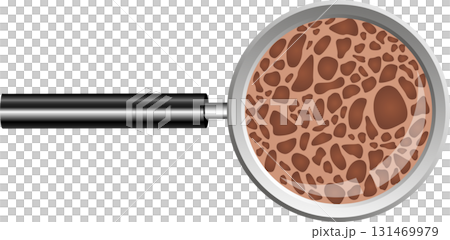 Magnified bone structure reveals intricate detail, showing porosity and cellular arrangement. Magnified bone structure reveals intricate detail, showing porosity and cellular arrangement. 131469979
