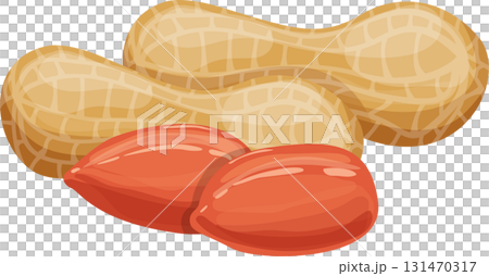 Illustration showcasing two peanuts, one shelled exposing two peanuts. Healthy snack depiction. 131470317