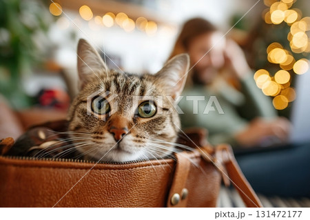Cat peeks curiously from inside a laptop bag in a cozy, softly lit room Cat peeks curiously from inside a laptop bag in a cozy, softly lit room 131472177