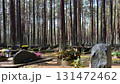 Tranquil forest cemetery in Tallinn, Estonia, showcasing numerous graves adorned with flowers and lanterns, nestled among tall pine trees during the autumn season 131472462