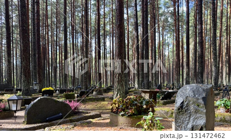 Tranquil forest cemetery in Tallinn, Estonia, showcasing numerous graves adorned with flowers and lanterns, nestled among tall pine trees during the autumn season Tranquil forest cemetery in Tallinn, Estonia, showcasing numerous graves adorned with flowers and lanterns, nestled among tall pine trees during the autumn season 131472462